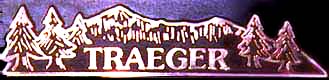Link to the Traeger web site
